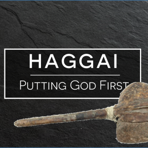 If It Pleases the Lord (Haggai 1)