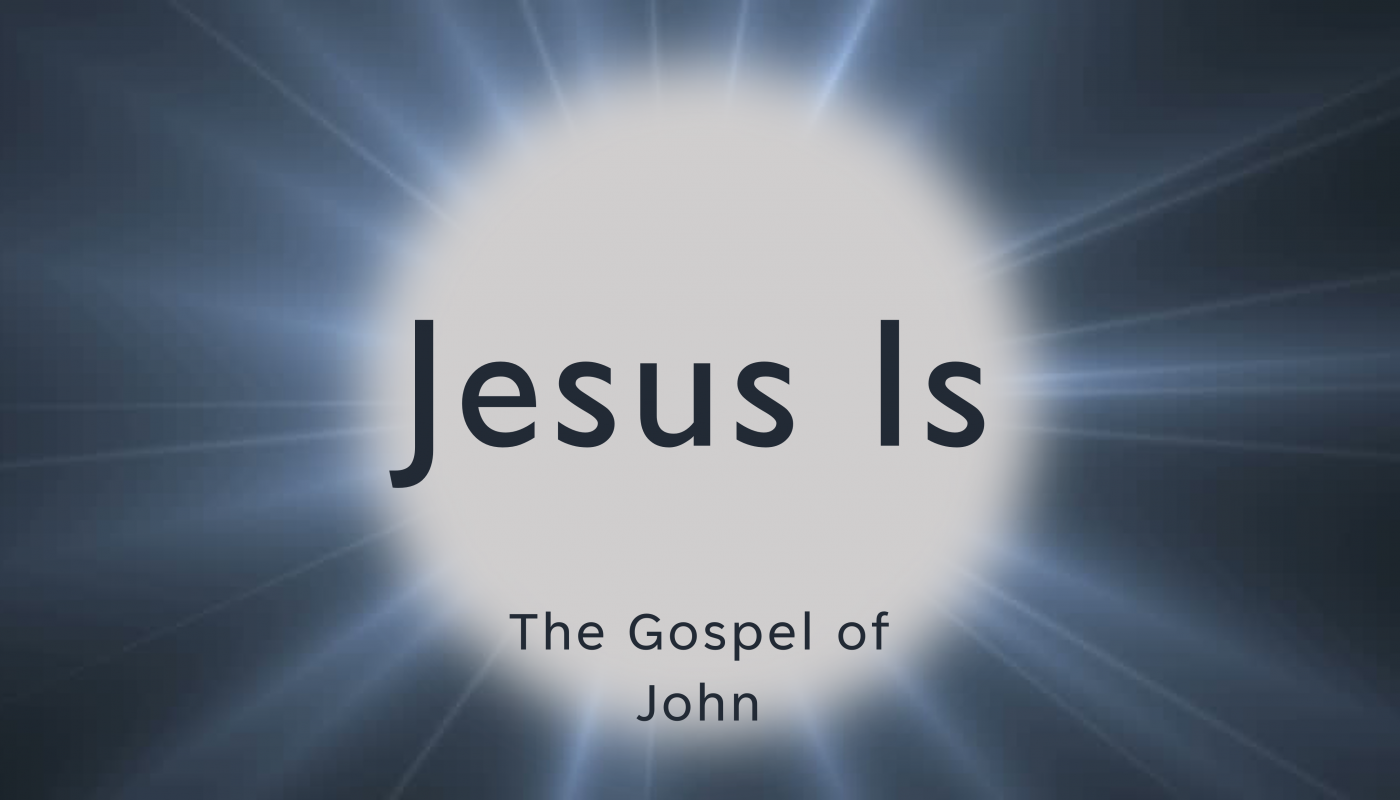Is He Your King? (John 12:9-26)
