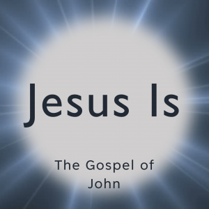 Is He Your King? (John 12:9-26)